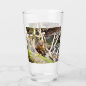 Aanpasbare bosdieren van de boommarter in het bosl glas (Achterkant)