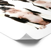 Aanpasbare Boston Terrier Hond Pop Art Foto Poster (Hoek)