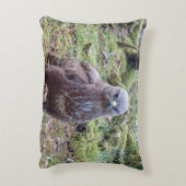 Aanpasbare Buizerd Met Houding Kussen (Achterkant (Verticaal))