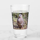 Aanpasbare Buizerd Starende Vogel Natuur Wilde Die Glas (Achterkant)