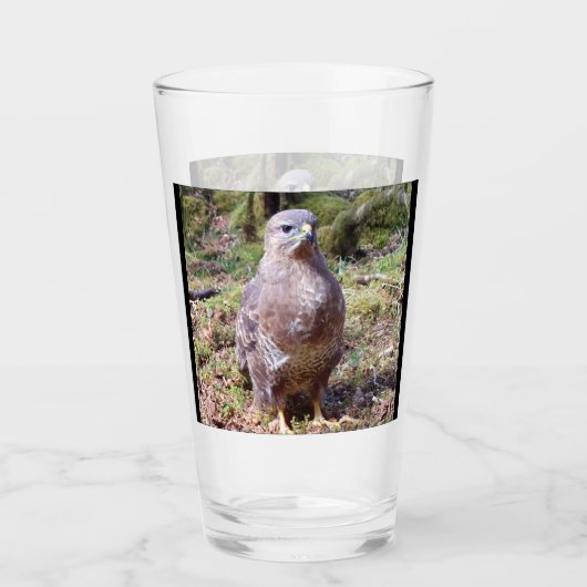 Aanpasbare Buizerd Starende Vogel Natuur Wilde Die Glas (Voorkant)