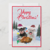 Aanpasbare Funny Schnauzer Dog Christmas Kaart (Voorkant)