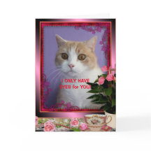 Aanpasbare Grappige Katten Valentijnskaart