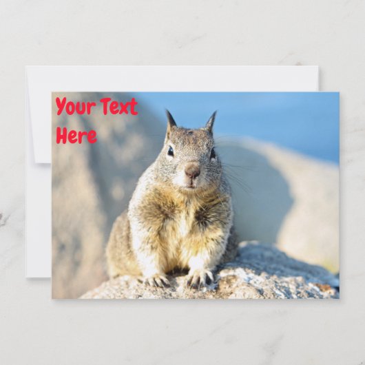 Aanpasbare grijze eekhoorn Kaart (Voorkant)