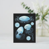 Aanpasbare Haeckel kwal Briefkaart (Staand voorkant)