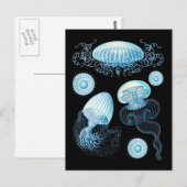 Aanpasbare Haeckel kwal Briefkaart (Voorkant / Achterkant)