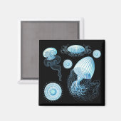 Aanpasbare Haeckel kwal Magneet (Voorkant / Achterkant)