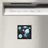 Aanpasbare Haeckel kwal Magneet (Insitu (Vaatwasser))