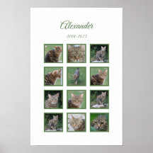 Aanpasbare Herdenkingsposter voor huisdieren