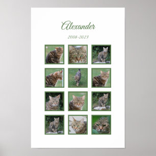Aanpasbare Herdenkingsposter voor huisdieren Poster