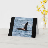 Aanpasbare John Coe Orka Westkust Orka Kaart (Gele Bloem)