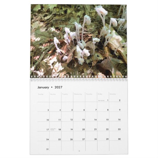 Aanpasbare kalender met twee pagina's en middelgro (Jan 2027)