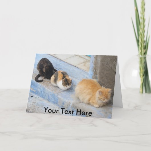 Aanpasbare katten, Chefchaouen, Marokko Kaart (Voorkant)
