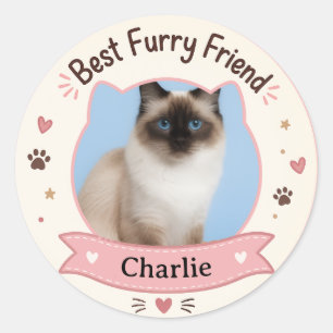 Aanpasbare kattenfoto en naamsticker ronde sticker
