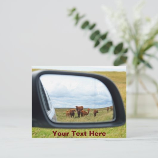 Aanpasbare koeien in de spiegel briefkaart (Staand voorkant)