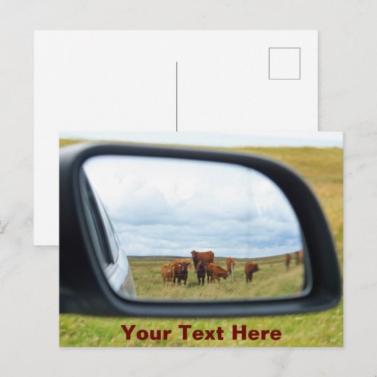 Aanpasbare koeien in de spiegel briefkaart (Voorkant / Achterkant)
