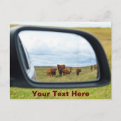 Aanpasbare koeien in de spiegel briefkaart (Voorkant)