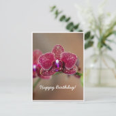 Aanpasbare Mooie Rode Orchidee Verjaardag Briefkaart (Staand voorkant)