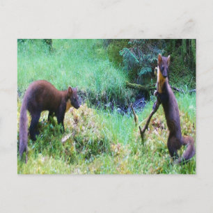 Aanpasbare Mr & Mrs Boommarter Wenskaart Briefkaart