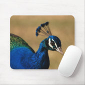 Aanpasbare paardenmousemats en mousepad muismat (Met muis)