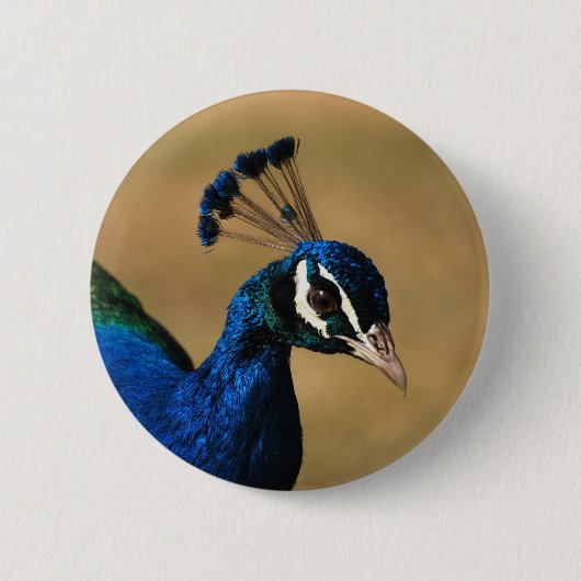 Aanpasbare penningen en knoppen voor Peacock Ronde Button 5,7 Cm (Voorkant)