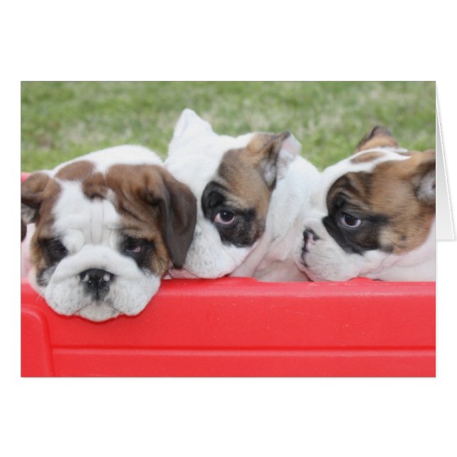 Aanpasbare Puppy Love-kaart (Voorkant Horizontaal)