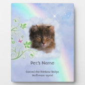 (Aanpasbare) Regenboogbrug Fotoplaat (Voorkant)