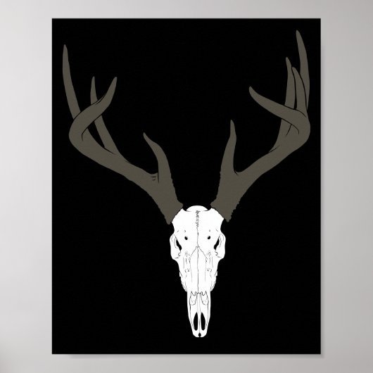 Aanpasbare schedel van witstaarthert poster (Voorkant)
