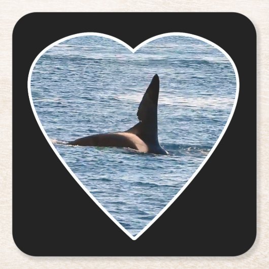Aanpasbare Shark Bite Vin John Coe Orca Kartonnen Onderzetters (Voorkant)