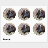 Aanpasbare tekst Buffalo Chip Cookie Sticker (Vel)