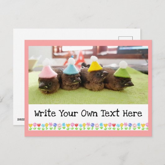 Aanpasbare tekst Mooie baby vogel Vink Vinken Briefkaart (Voorkant / Achterkant)