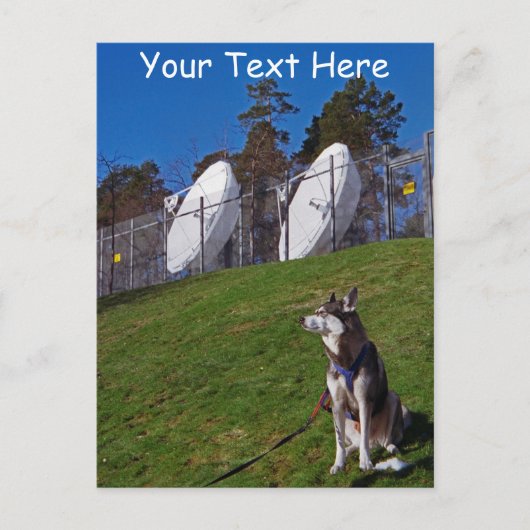 Aanpasbare tracker hond briefkaart (Voorkant)