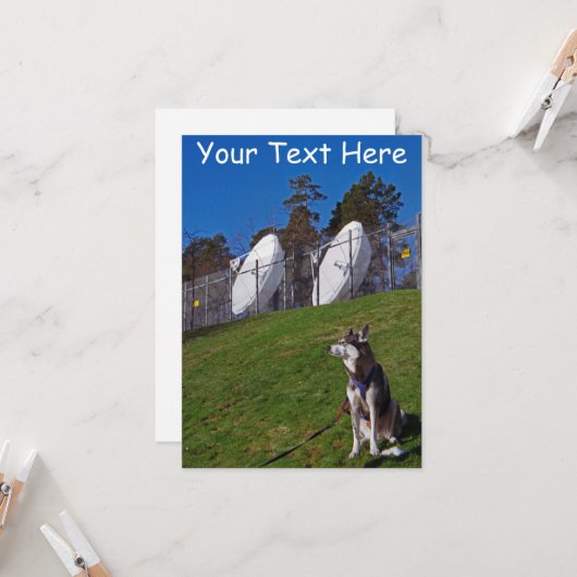 Aanpasbare tracker hond kaart (Voorkant / Achterkant in situ)