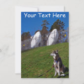 Aanpasbare tracker hond kaart (Voorkant)