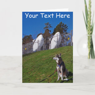 Aanpasbare tracker hond kaart