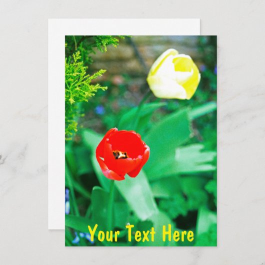 Aanpasbare tulpenkaart (Voorkant / Achterkant)