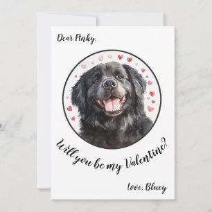 Aanpasbare Valentijnskaart Newfoundland Feestdagenkaart