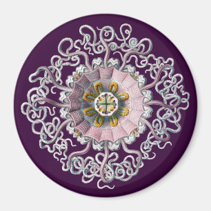 Aanpasbare Vintage Haeckel Magneet