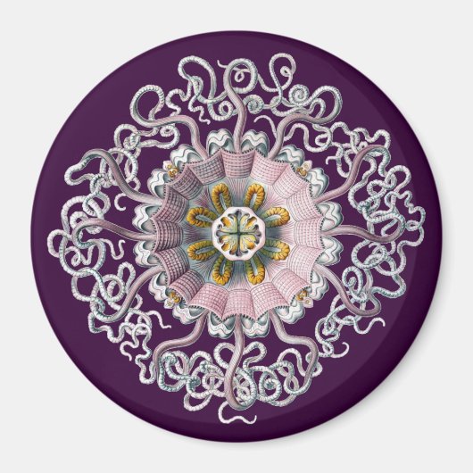 Aanpasbare Vintage Haeckel Magneet (Voorkant)