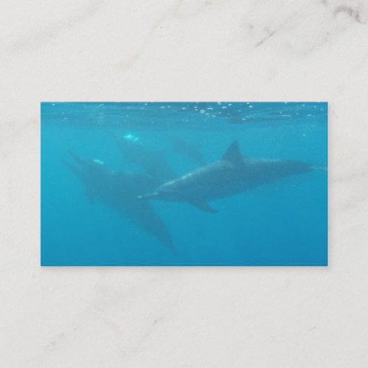 Aanpasbare visitekaartjes voor Dolphin-duikbedrijf (Voorkant)