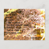 Aanpasbare Vriendschapsquote - Charlotte's Web Briefkaart (Voorkant)