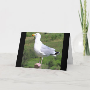 Aanpasbare Zeemeeuw Staand Op Paal Groeten Kaart