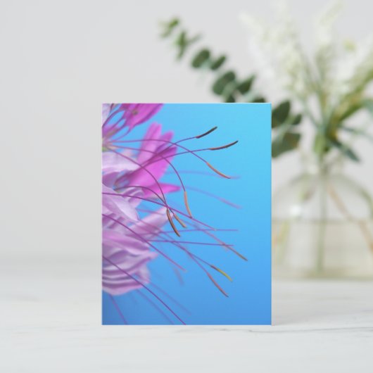 Aanpassen met eigen bericht briefkaart (Staand voorkant)