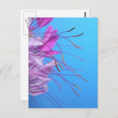 Aanpassen met eigen bericht briefkaart (Voorkant / Achterkant)