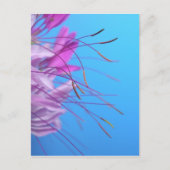 Aanpassen met eigen bericht briefkaart (Voorkant)