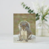 Aanpassen van Cute Squirrel-gezichtsfotografie Briefkaart (Staand voorkant)