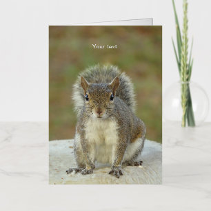 Aanpassen van Cute Squirrel-gezichtsfotografie Folie Wenskaart