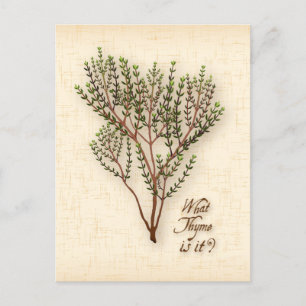 Aanpassen wat zij zijn? Briefkaart