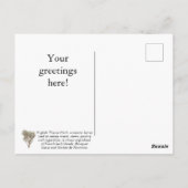 Aanpassen wat zij zijn? Briefkaart (Achterkant)