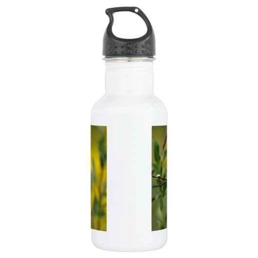 Aanpassen Waterfles (Achterkant)